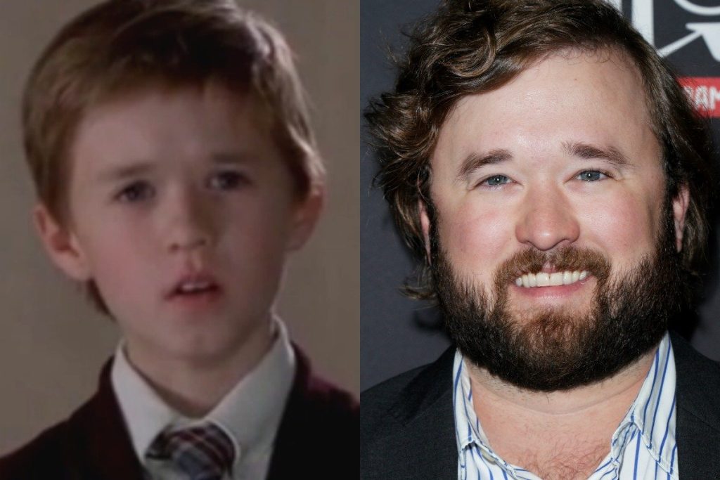 Haley Joel Osment Wiki, Bio, Age, Net Worth, and Other Facts Facts Five