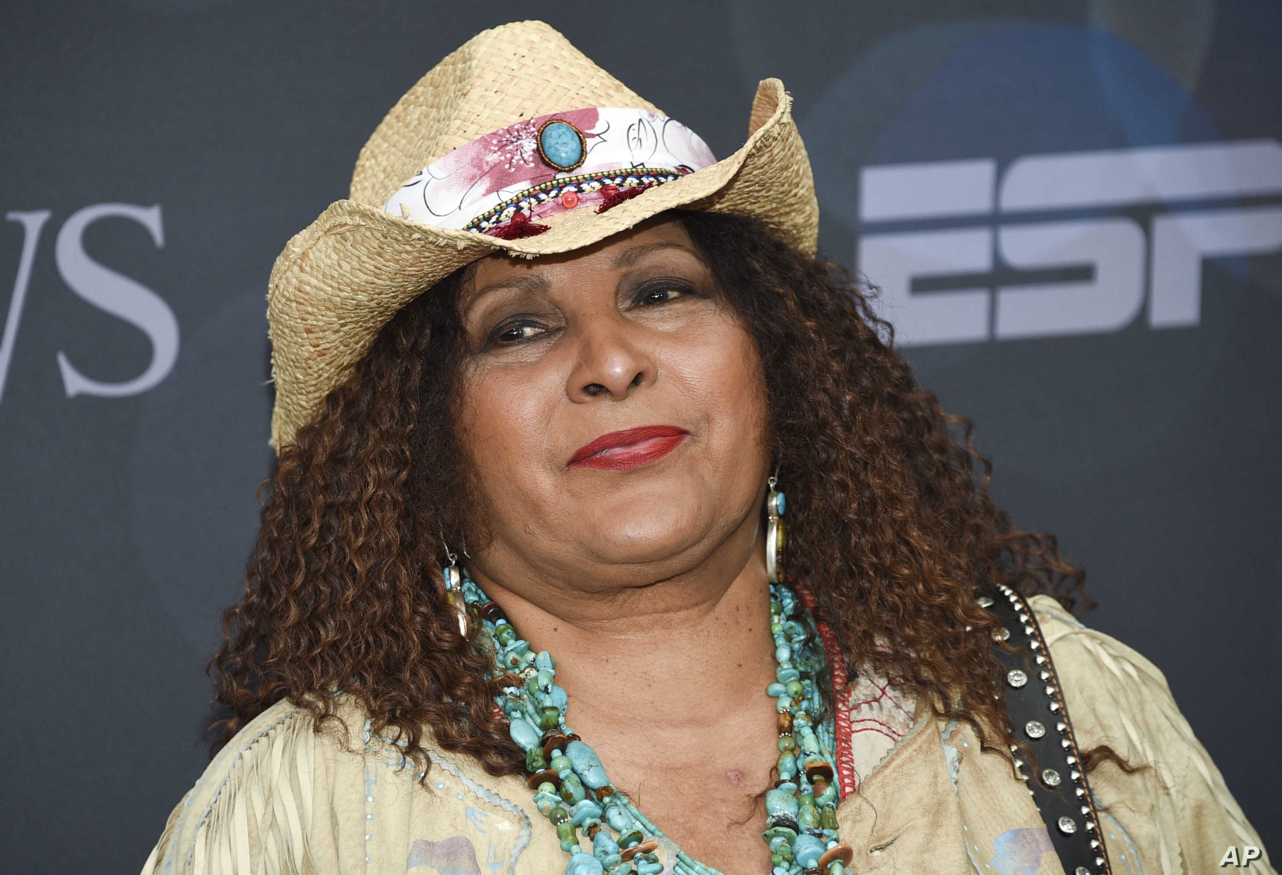 Pam Grier Wiki, Bio, Age, Net Worth, and Other Facts